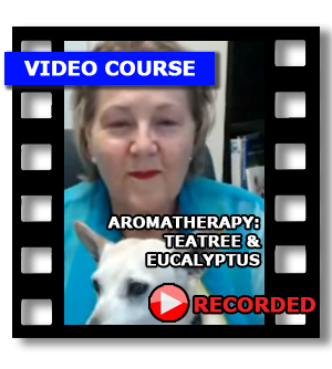 03 Teatree & Eucalyptus - Aromatherapy Video Course