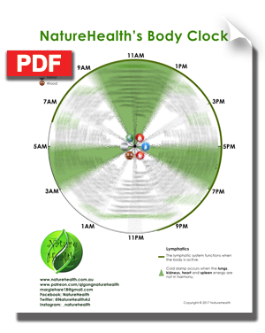 Body Clock PDF