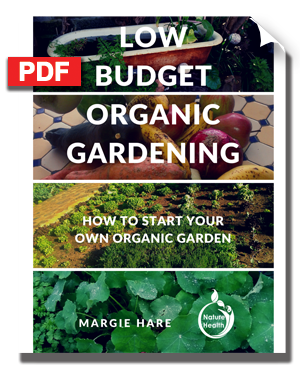 Low Budget Organic Gardening: How to Start Your Organic Garden