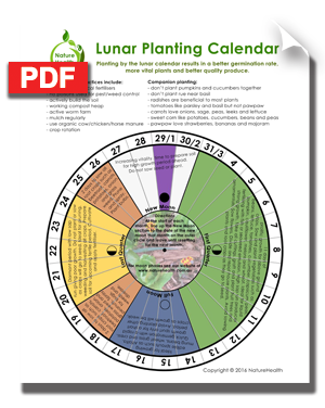 Gardening By The Moon Chart