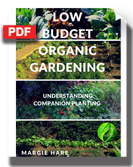 Low Budget Organic Gardening: Understanding Companion Planting