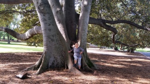 Huge energy from this giant in a park in Melbourne