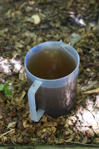 Dilute the weed soup 50/50 and pour on the garden as a tonic