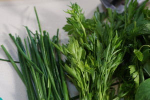 Freshly cut organic herbs from the garden