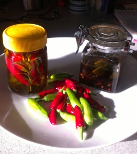 Bottled chilli