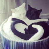 Yin and Yang
