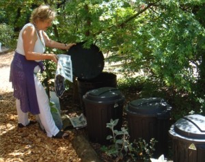 compost, worm farm and liquid manure and seaweed bins